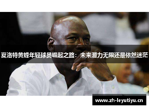 夏洛特黄蜂年轻球员崛起之路：未来潜力无限还是依然迷茫