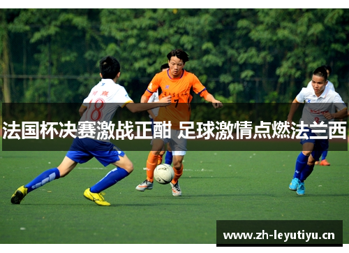 法国杯决赛激战正酣 足球激情点燃法兰西