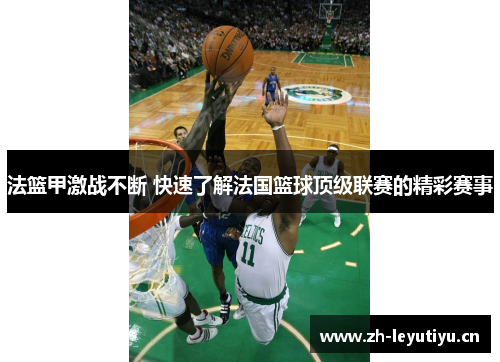 法篮甲激战不断 快速了解法国篮球顶级联赛的精彩赛事