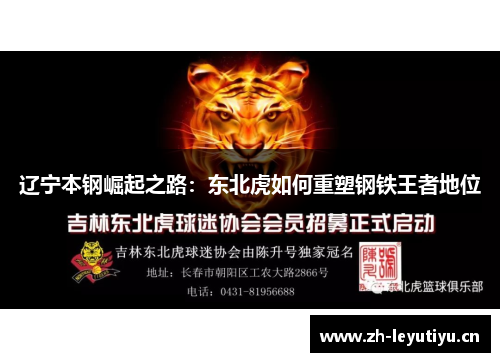 辽宁本钢崛起之路：东北虎如何重塑钢铁王者地位